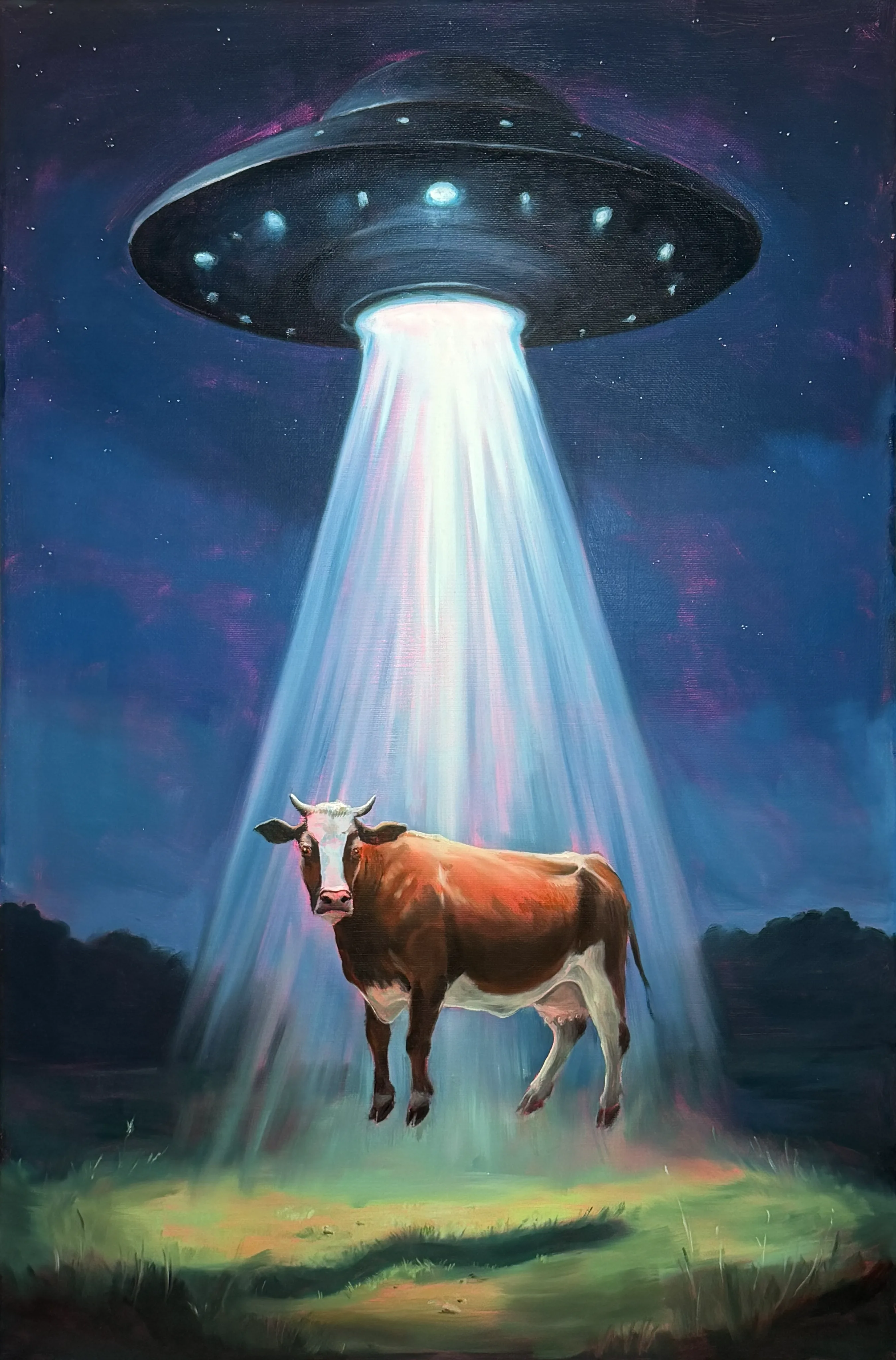 Moo Abduction