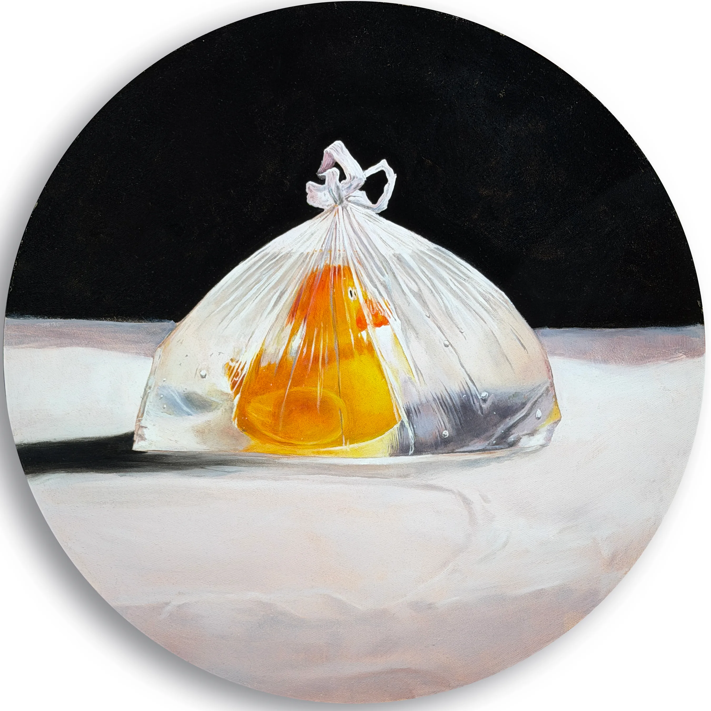 Duck in a Bag of Water